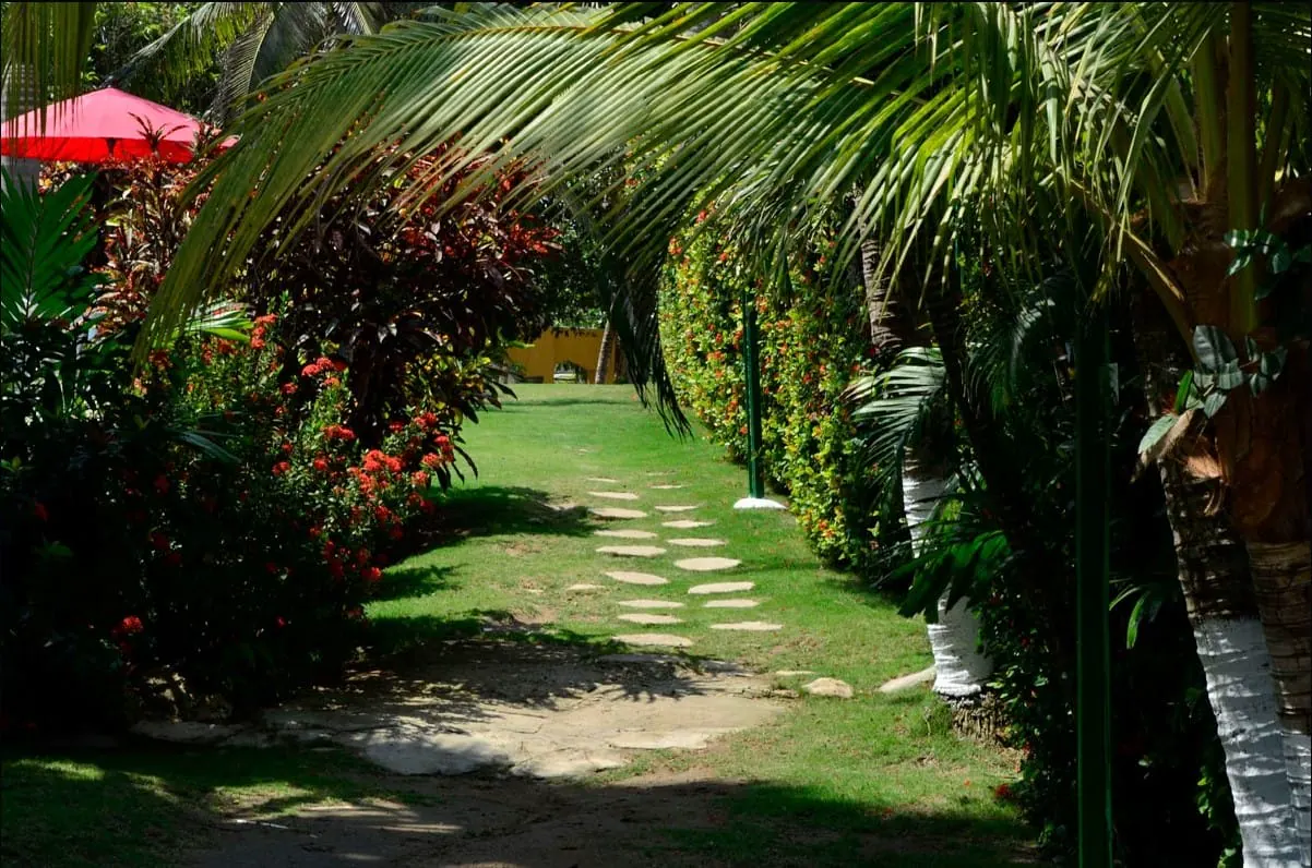 Sendero de piedras entre palmeras y flores rojas