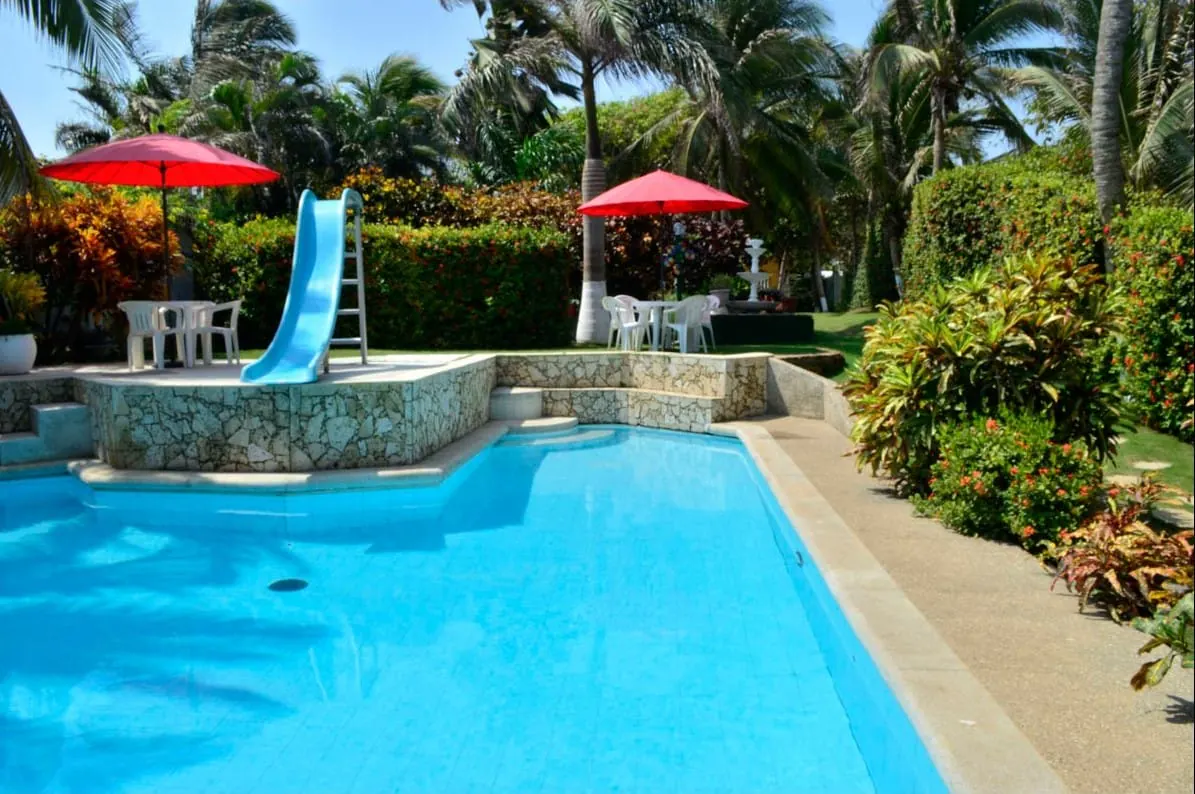 Piscina con tobogán rodeada de palmeras